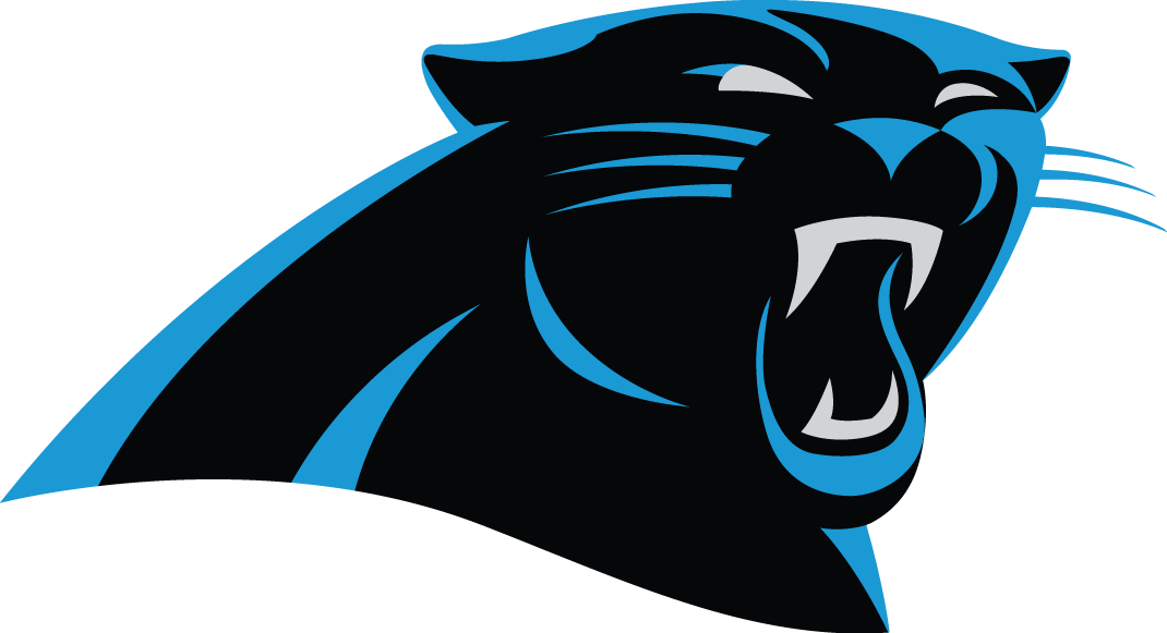 Carolina Panthers 2012-Pres Primary Logo fabric transfer